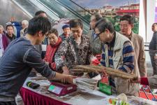 丰县“农”情厚意进省城，绿色珍馐火爆金陵