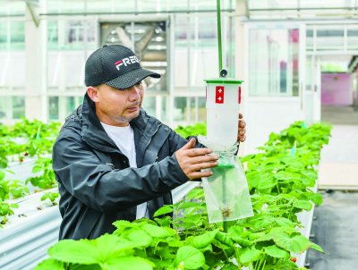 南京农产品碳认证 好做法还需扶一把