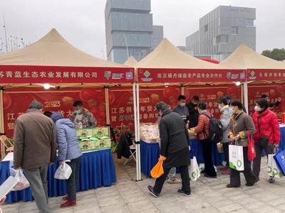 南京供销社亮相2023江苏供销年货大集暨“鲜丰汇”迎春购物节 助力本地农产品叫响全国